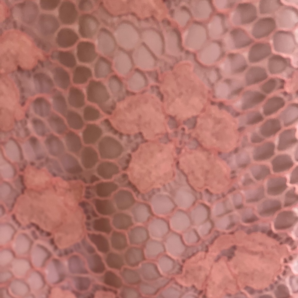 NWT Lace Dress Straps Clay - Pink size Medium - Picture 4 of 14